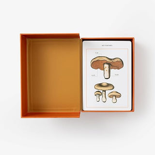 Mushroom Identification Cards - NYB - Woodward Throwbacks