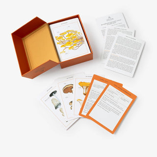 Mushroom Identification Cards - NYB - Woodward Throwbacks