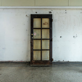 Chicken Wire Door