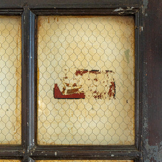 Chicken Wire Door