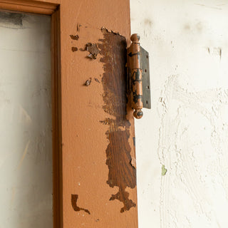 Hamtramck Oak School Door No. 2 - Woodward Throwbacks