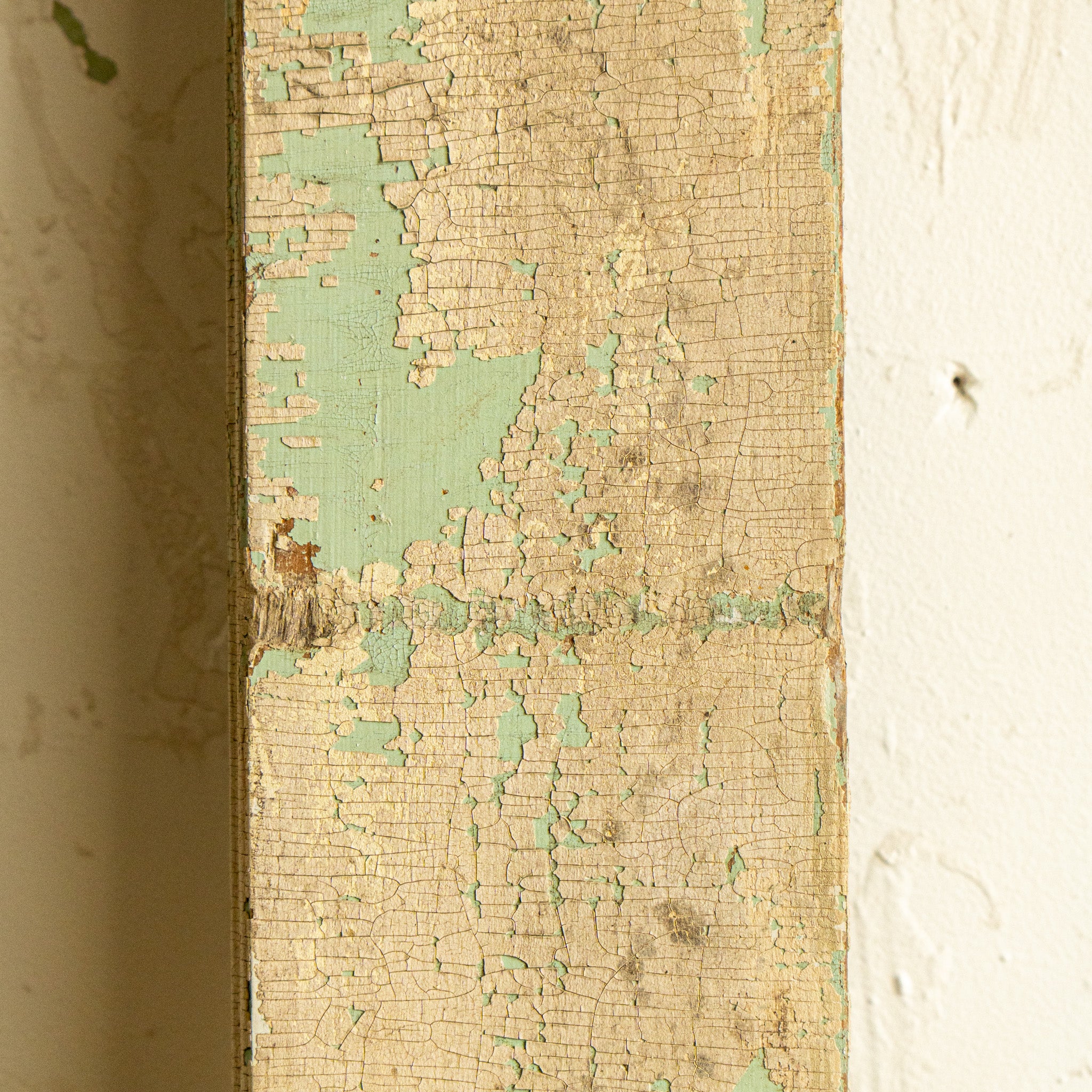 Vintage Entry Door