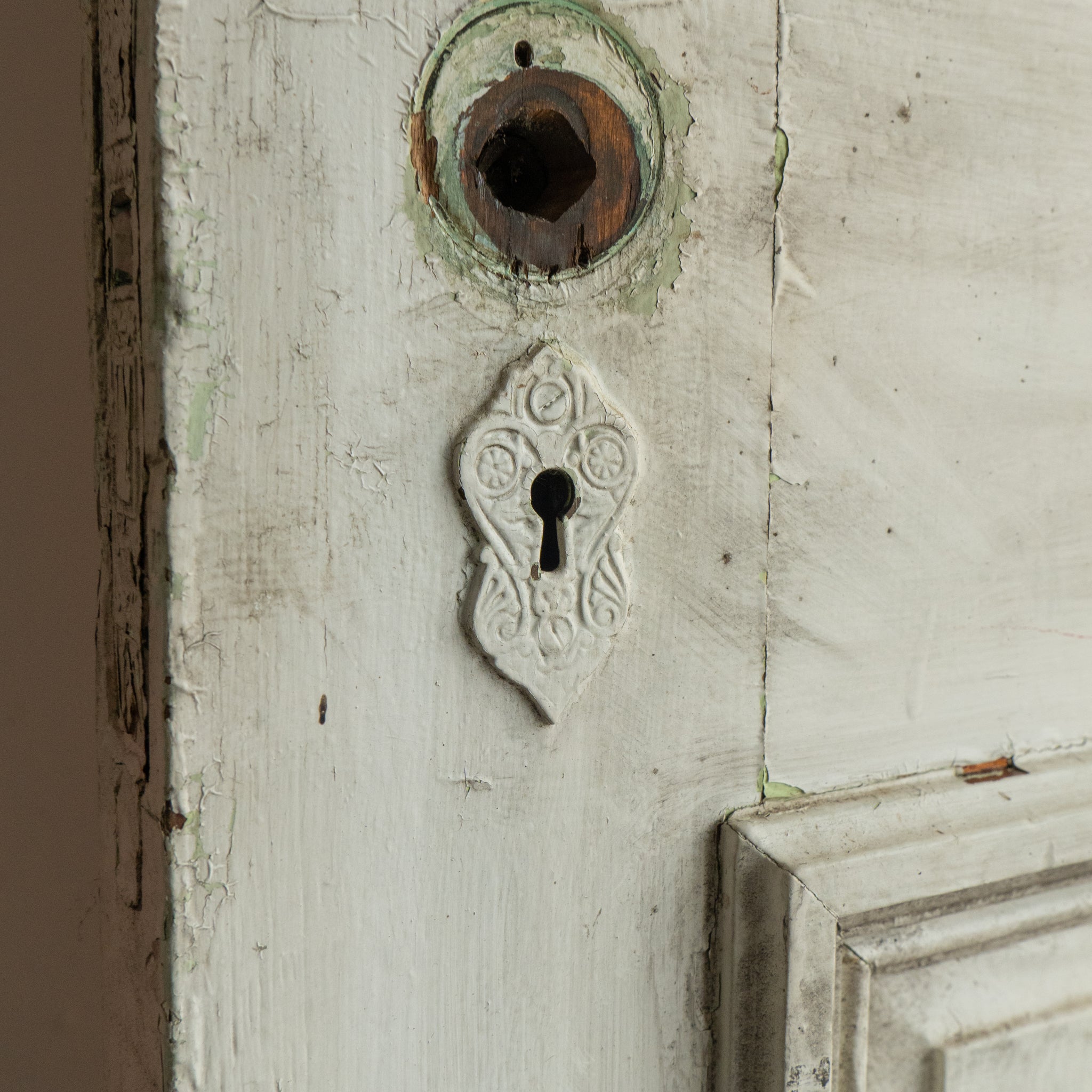 Salvaged Painted Door