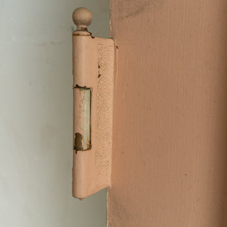Salvaged Painted Door - Woodward Throwbacks