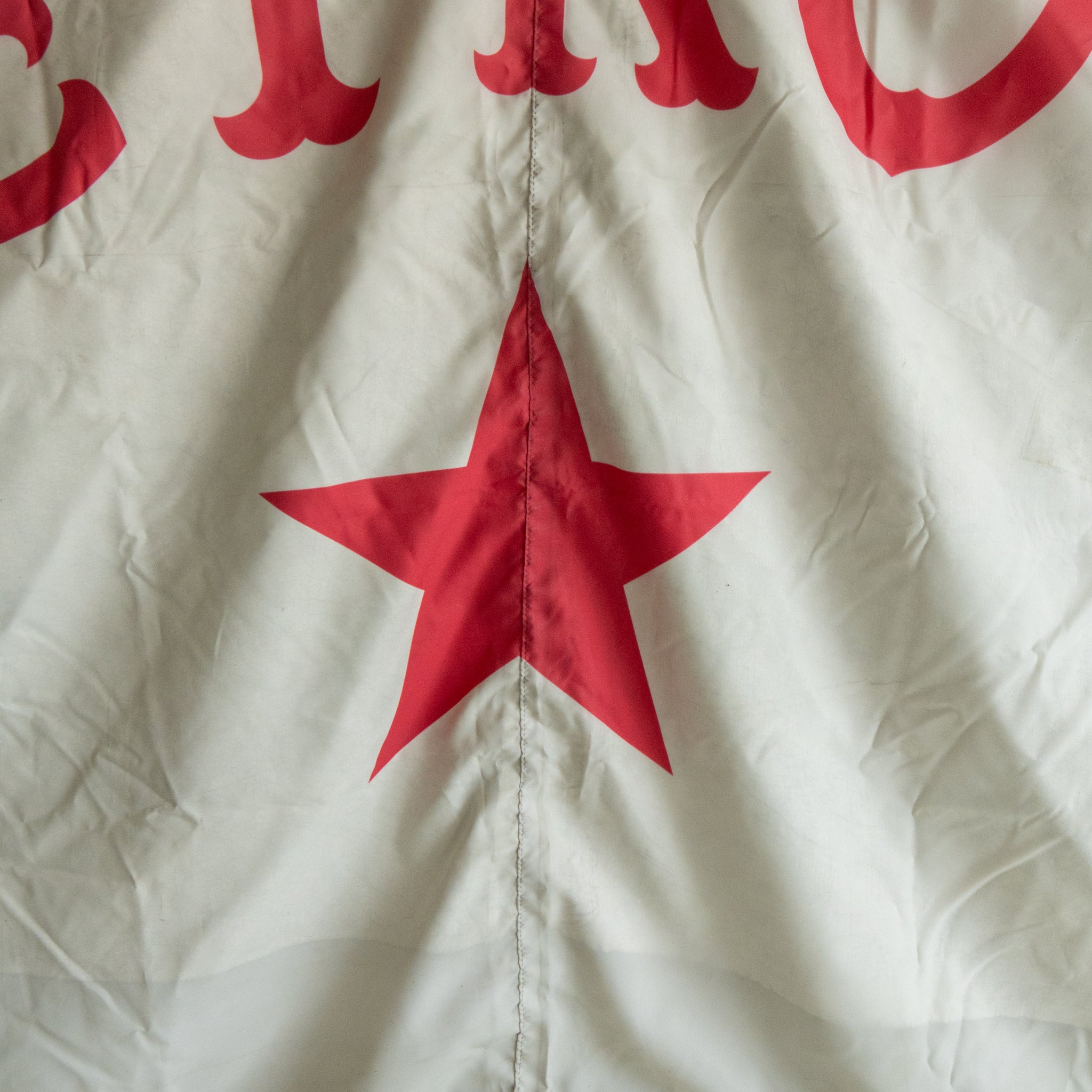 Detroit Stars Flag